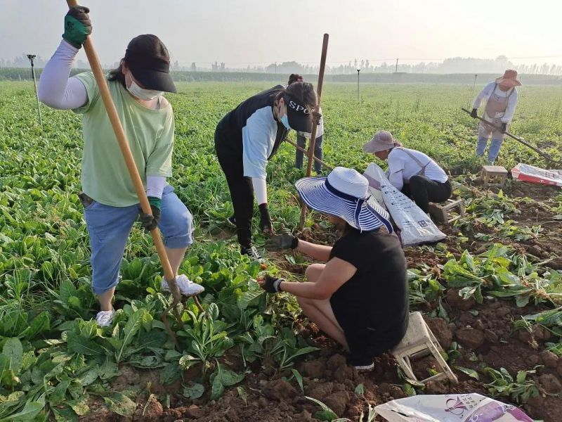 必須“曝光”這些人，有笑點有淚點