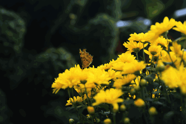 發(fā)現(xiàn)秘境，驚艷眾人??！快來圍觀！