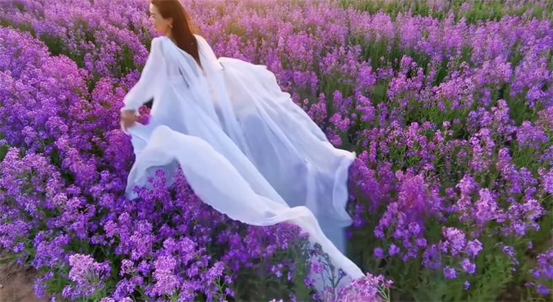 速來圍觀！太極莊懷藥小鎮(zhèn)紫色油菜花海進入盛花期， 只到五月底