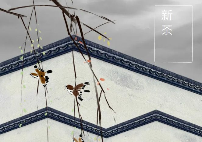 太極莊新菊上市！白菊婉清顏，芳香滿庭院