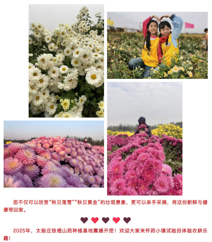 2025-12-18_175737_05